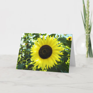 Tarjeta de felicitación de la escena del girasol