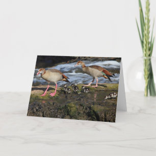 Tarjeta de felicitación de la familia Geese egipci