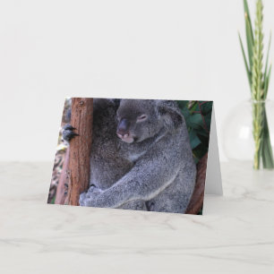 Tarjeta de felicitación de la familia Koala