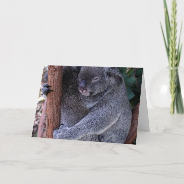 Tarjeta de felicitación de la familia Koala (Anverso)