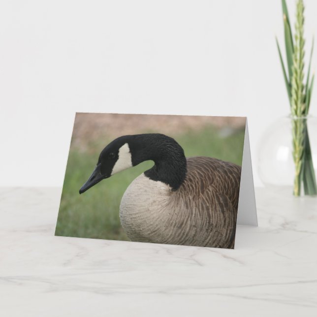 Tarjeta de felicitación de la fauna del "ganso (Anverso)