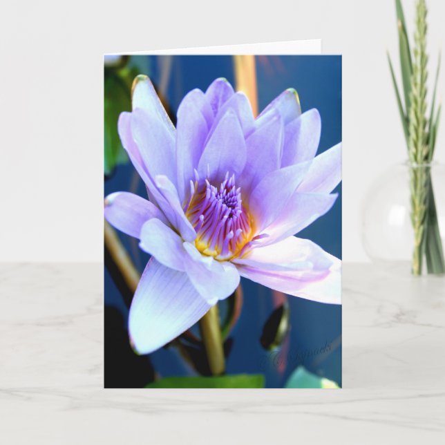Tarjeta de felicitación de la flor (Anverso)