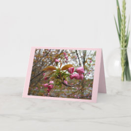 Tarjeta de felicitación de la flor de cerezo