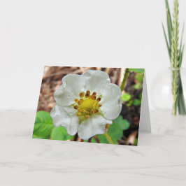 Tarjeta de felicitación de la flor de la fresa,