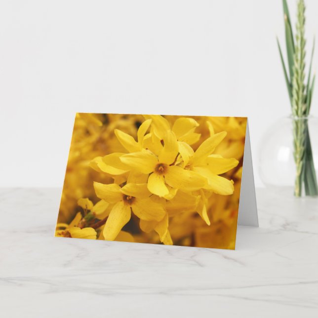Tarjeta de felicitación de la flor del Forsythia (Anverso)