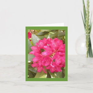 Tarjeta de felicitación de la flor del rododendro