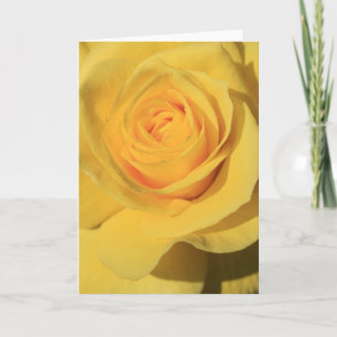 Tarjeta de felicitación de la flor del rosa