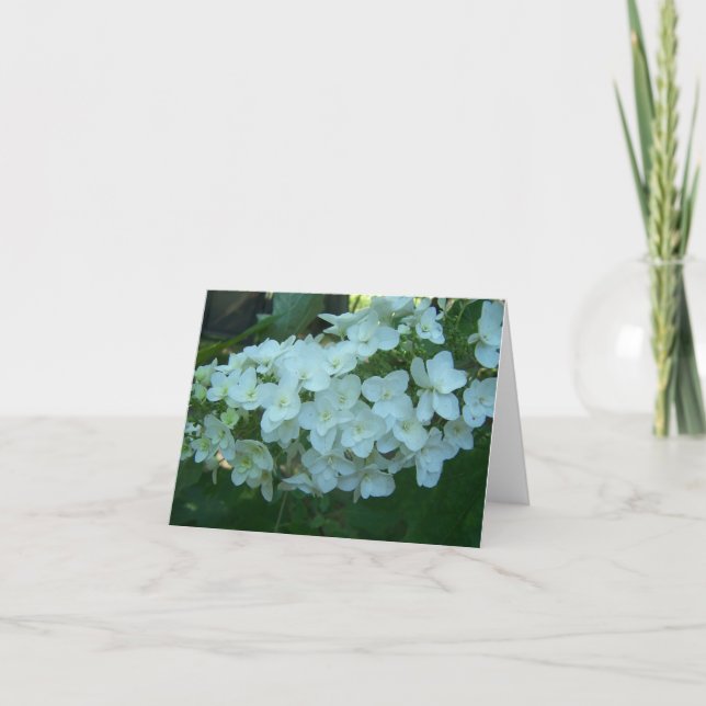 Tarjeta de felicitación de la floración del (Anverso)
