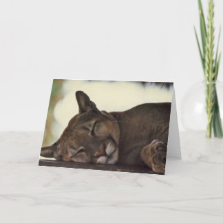 Tarjeta de felicitación de la foto de la fauna el