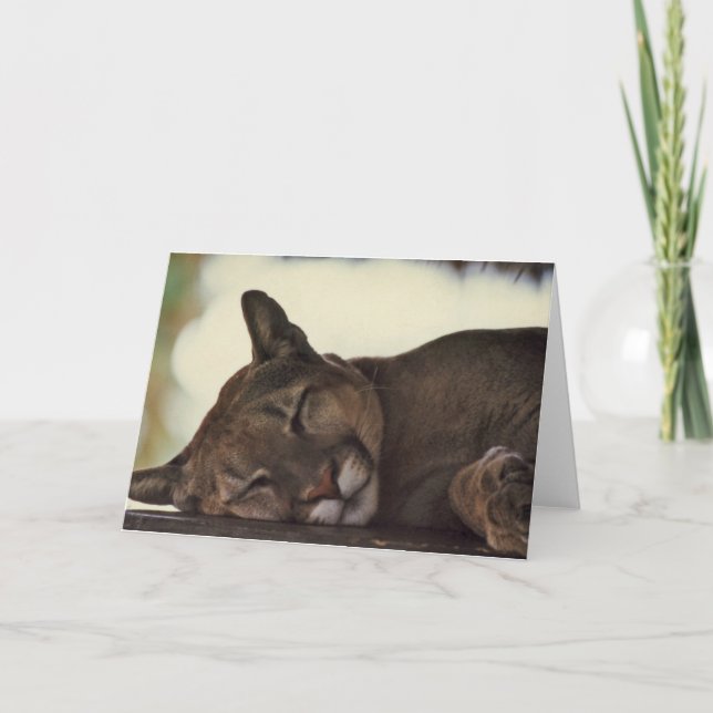 Tarjeta de felicitación de la foto de la fauna el (Anverso)