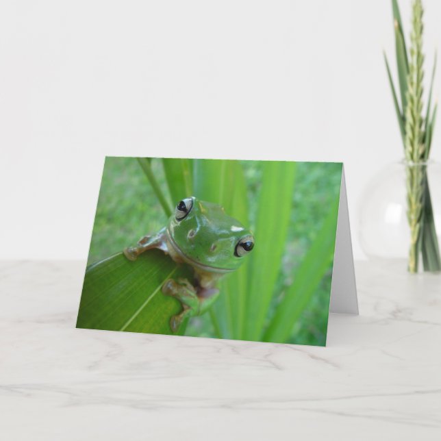 Tarjeta de felicitación de la foto de la rana (Anverso)