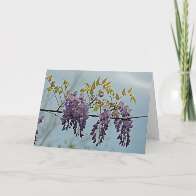 Tarjeta de felicitación de la foto de las (Anverso)