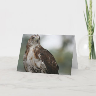 Tarjeta de felicitación de la foto del pájaro "del