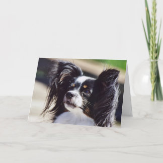 Tarjeta de felicitación de la foto del perro de