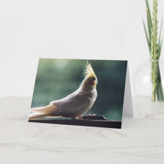 Tarjeta de felicitación de la fotografía del