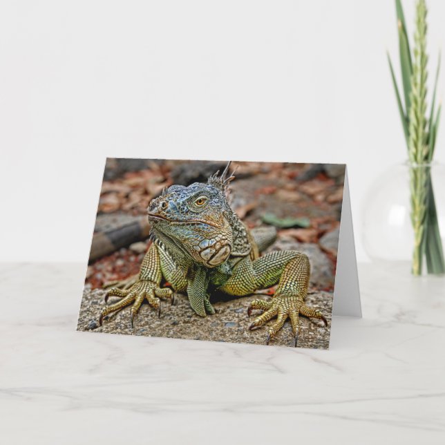 Tarjeta de felicitación de la iguana (Anverso)