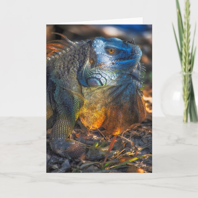 Tarjeta de felicitación de la iguana de Miami (Anverso)