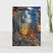 Tarjeta de felicitación de la iguana de Miami