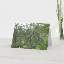tarjeta de felicitación de la iguana (que adelgaza