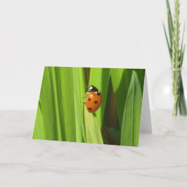 Tarjeta de felicitación de la imagen de la foto de