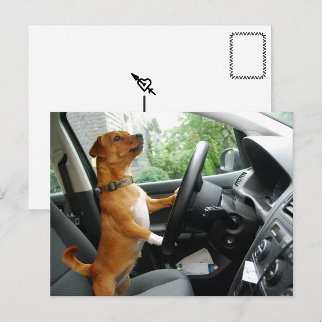 Tarjeta de felicitación de la licencia de conducci (Anverso / Reverso)