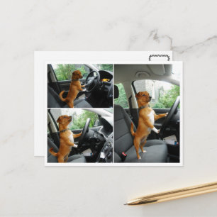 Tarjeta de felicitación de la licencia de conducci