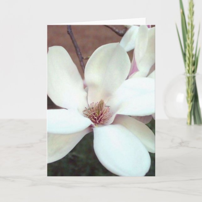 Tarjeta de felicitación de la magnolia (Anverso)