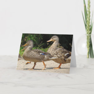 Tarjeta de felicitación de la Marcha de los Patos