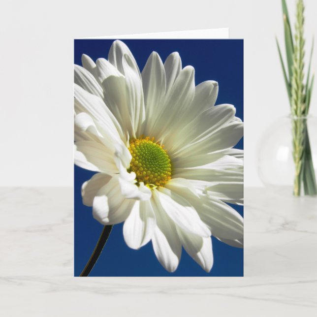 Tarjeta de felicitación de la margarita (Anverso)