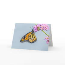 Tarjeta de felicitación de la mariposa de monarca