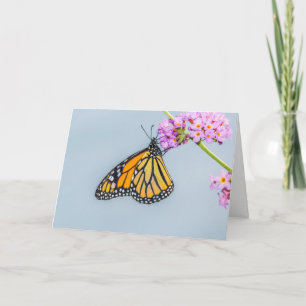 Tarjeta de felicitación de la mariposa de monarca