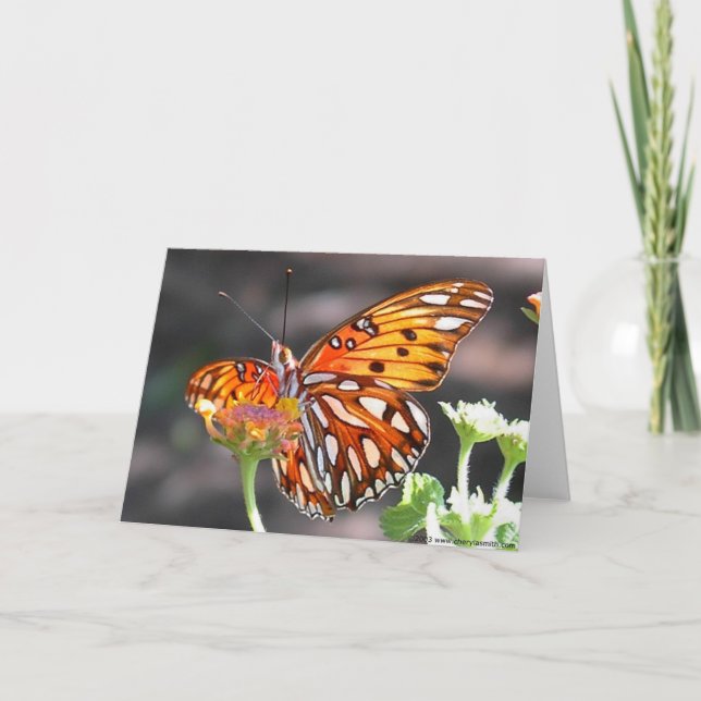 Tarjeta de felicitación de la mariposa del (Anverso)