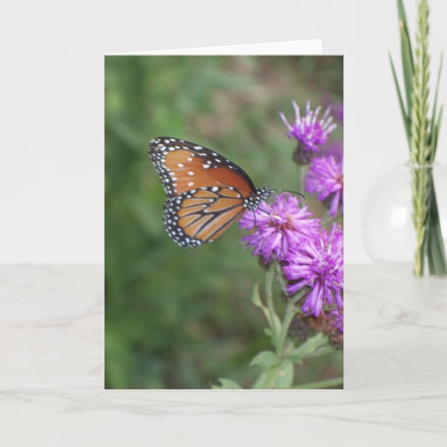 Tarjeta de felicitación de la mariposa y del (Anverso)