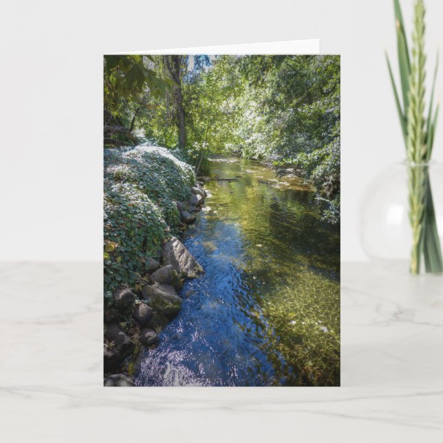 Tarjeta de felicitación de la naturaleza de (Anverso)