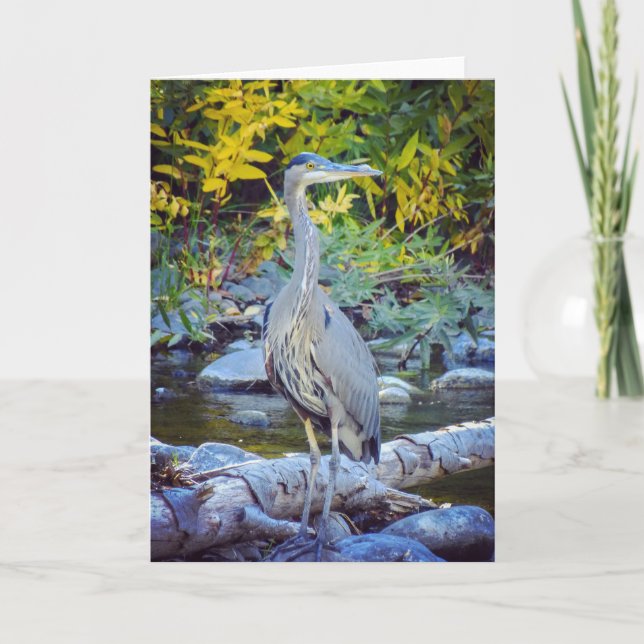Tarjeta de felicitación de la naturaleza de (Anverso)