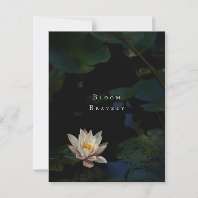 Tarjeta de felicitación de la naturaleza de la cha (Anverso)