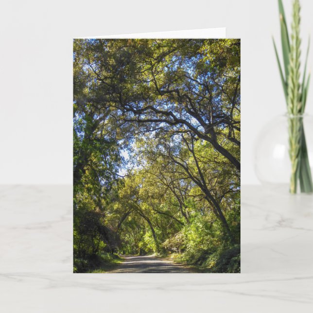 Tarjeta de felicitación de la naturaleza NorCal: T (Anverso)