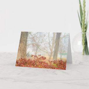 Tarjeta de felicitación de la neblina 3 del otoño