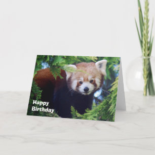 Tarjeta de felicitación de la panda roja