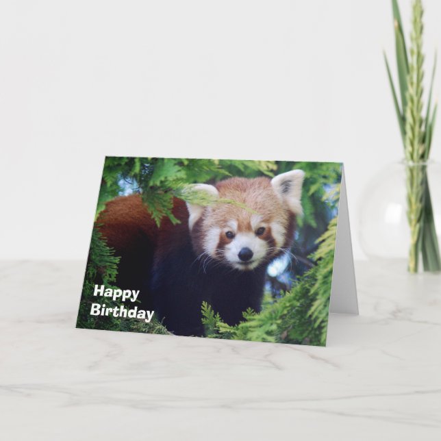 Tarjeta de felicitación de la panda roja (Anverso)