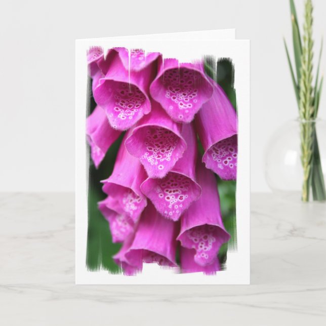 Tarjeta de felicitación de la planta del Foxglove (Anverso)