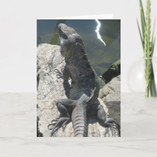 Tarjeta de felicitación de la roca del lagarto