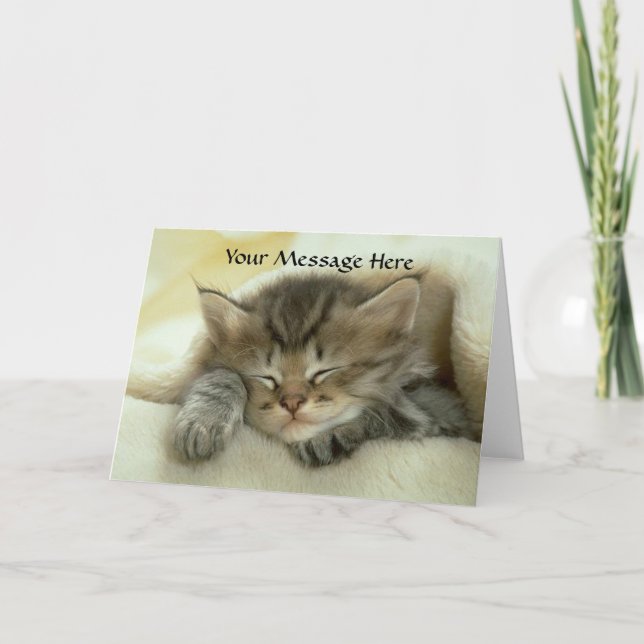 Tarjeta de felicitación de la siesta del gato (Anverso)