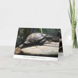 tarjeta de felicitación de la tortuga del bebé