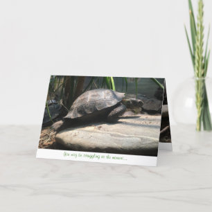 tarjeta de felicitación de la tortuga del bebé