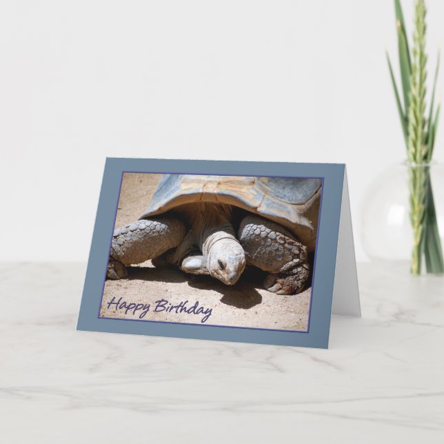 Tarjeta de felicitación de la tortuga del feliz (Anverso)