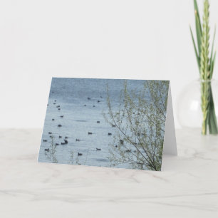 Tarjeta de felicitación de Lake Birds