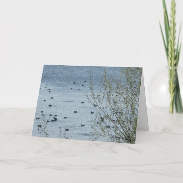 Tarjeta de felicitación de Lake Birds (Anverso)