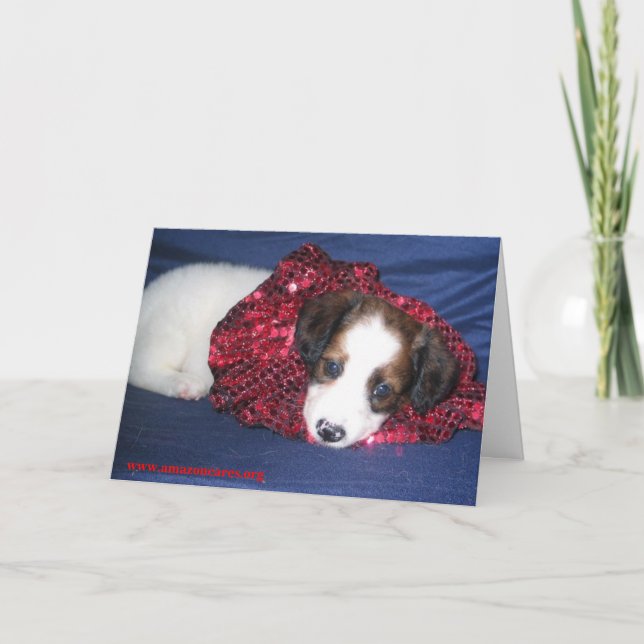 Tarjeta de felicitación de las Felices Navidad del (Anverso)