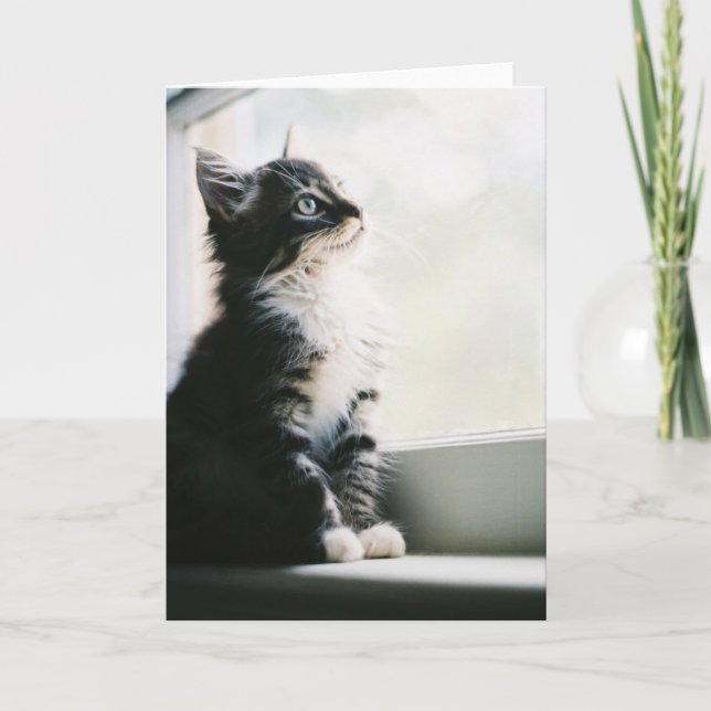 Tarjeta de felicitación de las ilusiones (Anverso)